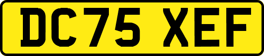 DC75XEF