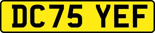 DC75YEF