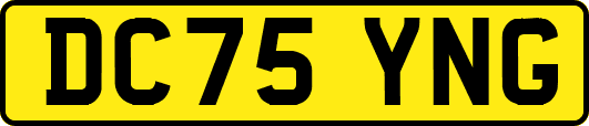 DC75YNG