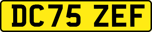 DC75ZEF