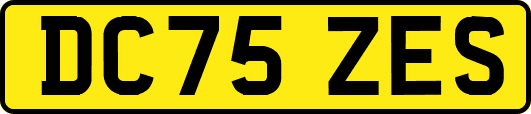 DC75ZES