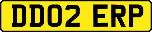 DD02ERP