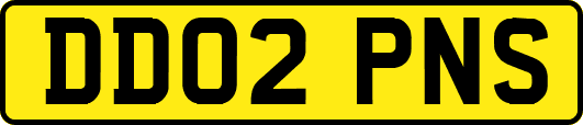 DD02PNS