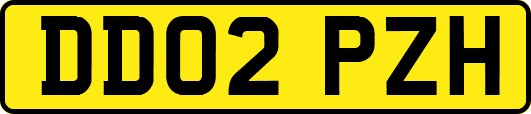 DD02PZH