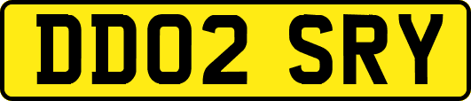 DD02SRY