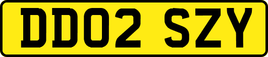 DD02SZY