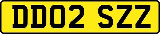 DD02SZZ