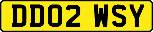 DD02WSY