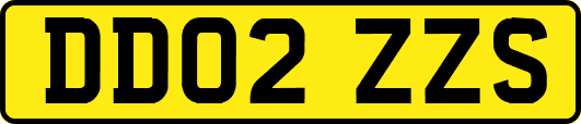 DD02ZZS