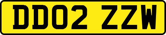 DD02ZZW