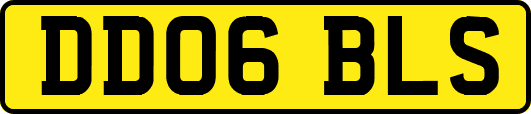 DD06BLS