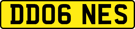 DD06NES