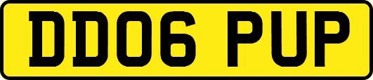 DD06PUP
