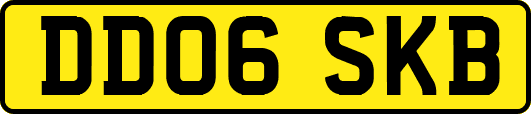 DD06SKB