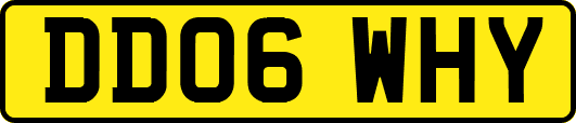 DD06WHY