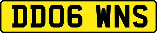 DD06WNS