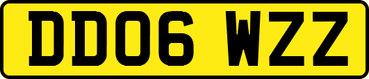 DD06WZZ