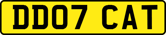 DD07CAT