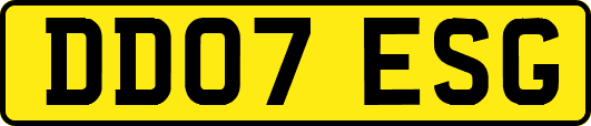 DD07ESG