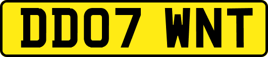 DD07WNT