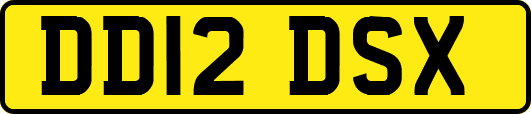 DD12DSX