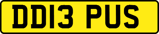 DD13PUS
