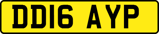 DD16AYP