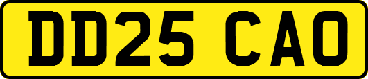 DD25CAO