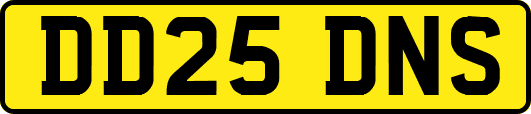 DD25DNS