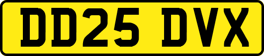 DD25DVX