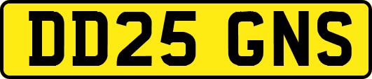 DD25GNS