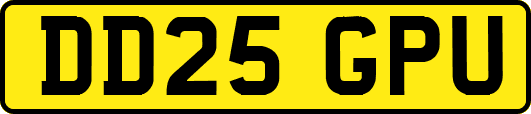 DD25GPU