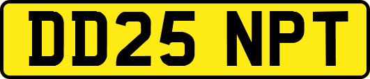 DD25NPT
