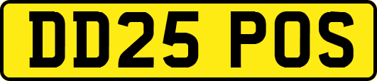 DD25POS