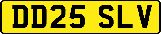 DD25SLV