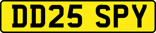 DD25SPY