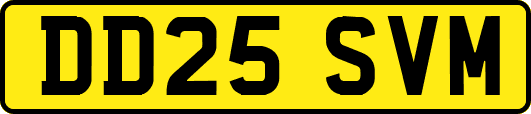DD25SVM