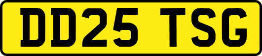 DD25TSG