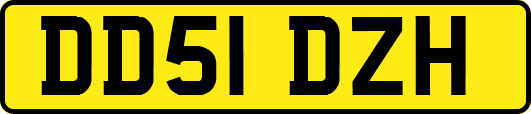 DD51DZH