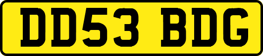 DD53BDG