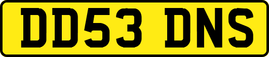 DD53DNS