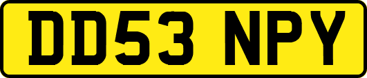 DD53NPY