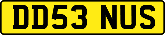 DD53NUS