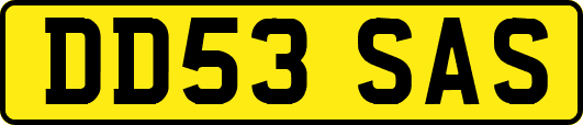 DD53SAS