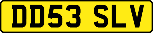 DD53SLV