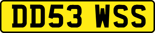 DD53WSS