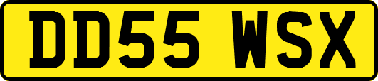 DD55WSX