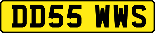 DD55WWS