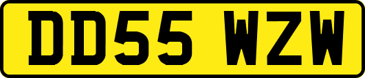 DD55WZW