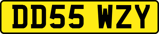 DD55WZY